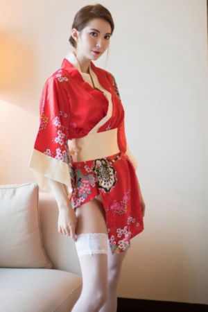 家庭高级教程