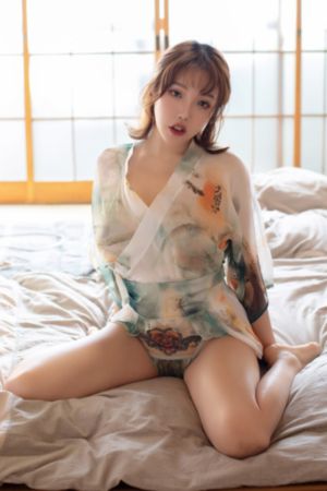梦想成为魔法少女动画免费观看